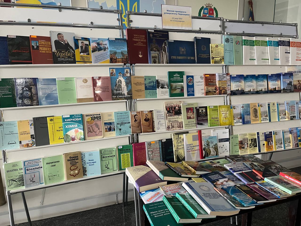 photo 2026 02 19 12 29 53