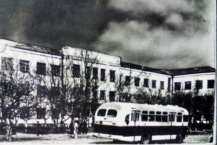 pedinstitut 1950