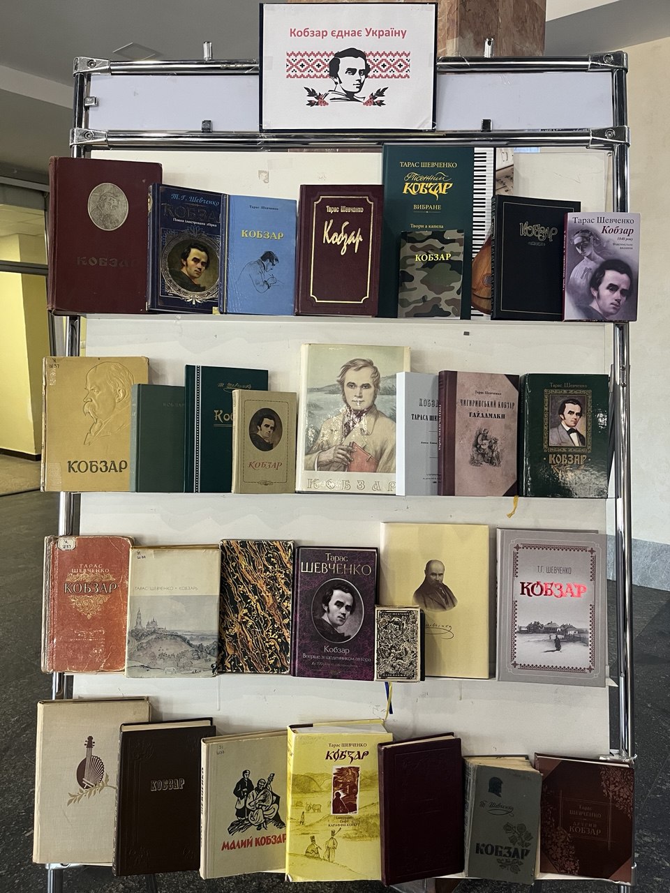 photo 5291776360583992595 y